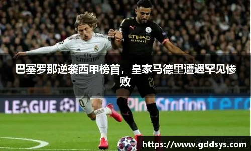 三亿体育最新地址