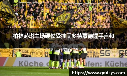 三亿体育官网入口