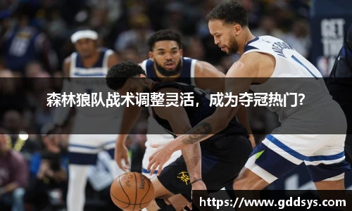 三亿体育官网入口