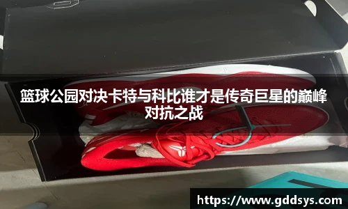 三亿体育最新地址