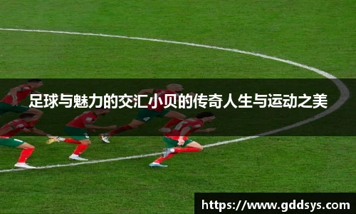 三亿体育官网版