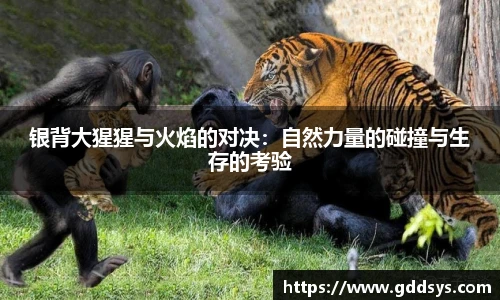 三亿体育手机网页版登录